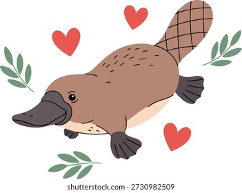 Ilustração vetorial plana e estilizada de um ornitorrinco australiano cercado por corações vermelhos e folhas. Isolado gráfico de vida selvagem.
