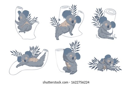 Cute Stylized Koala Animal Embracing Tree Trunk Vector Set