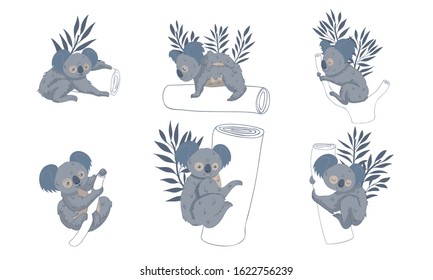 Cute Stylized Koala Animal Embracing Tree Trunk Vector Set