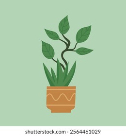 Cute stylized potted bonsai tree graphic design. A cheerful and minimalist illustration of a potted bonsai tree