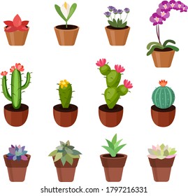 Cute succulent anf flower vector graphic set. Colorful illustration.