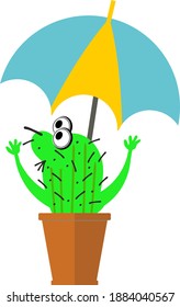 Cute Sukkulent- oder Kaktuspflanze in Keramiktopf mit Regenschirm