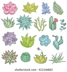 Cute succulent flowers collection set. Vector illustration