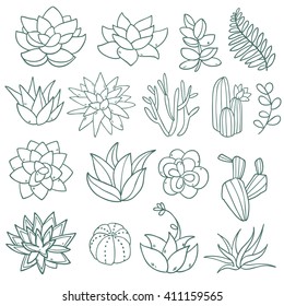 Cute Succulent Flowers Collection Set Vector Stock Vector (Royalty Free ...