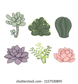 Cute and succulent hand drawn cactus set in vintage sketch style. Various green house cacti collection in flat design. Editable vector illustration on white background. 