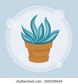 cute succulent plant in pot