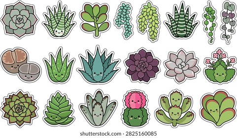 Cute succulent plant sticker bundle featuring echeveria, aloe, jade plant, haworthia, string of pearls, string of hearts, sedum, kalanchoe, rosette succulents, paddle plant, clustered succulents, and other decorative plants. Clean flat vector illustrations with bold outlines, simple cute expressions, rounded shapes, white die-cut borders, and isolated objects on a pure white background. Ideal for stickers, stationery, planners, gardening projects, plant-themed artwork, educational materials, printable designs, and commercial creative projects.