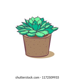 Cute succulent in pot. For postcards, tags, web, advertising. Isolated on white background.