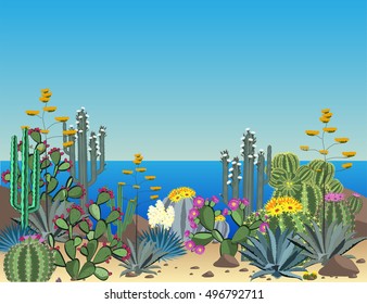 Cute succulents and cactus vector pattern