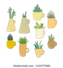 Cute succulents in cups. Vector EPS 10.