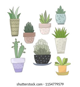 Cute succulents in pots. Vector EPS 10.