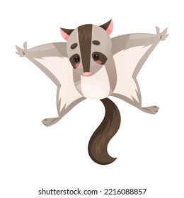 Cute Sugar Glider as Australian Animal and Endemic Fauna Vector Illustration