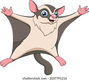 Cute Sugar glider cartoon vector illustration