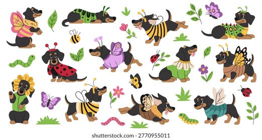 Cute summer dachshunds set