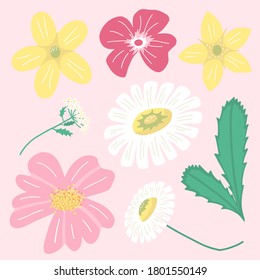 Cute summer flowers set. Hand drawn vector isolated illustration.  Floral decorations for greeting cards.
