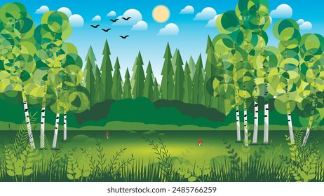 Cute summer forest landscape. Birches on a grassy meadow with mushrooms against the background of the forest, coniferous trees, sky with the sun, clouds, flying birds. Flat design. Vector.