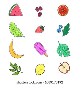 Cute Summer Fruits and Leaves Illustration Set