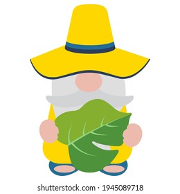 Cute Summer Gnome, Vector Illustration Art.