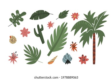 Cute summer greens and shells set. Exotic leaves, palm tree, cactus plant, various blooming flowers. Cartoon style isolated vector illustration.