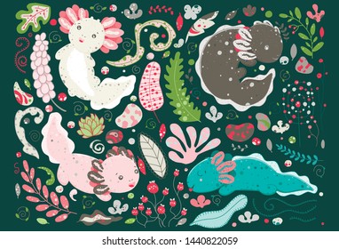 Axolotl Drawing High Res Stock Images Shutterstock
