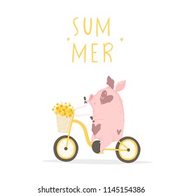 Cute summer postcard with pig. Pig on bike illustration isolated on white
