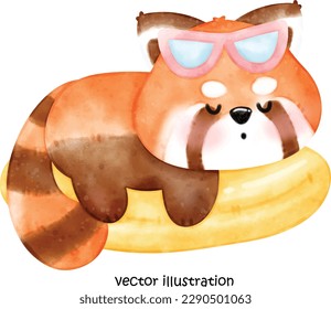 Cute summer red panda, red panda vector illustration, watercolor red panda 