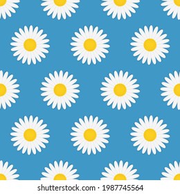 Cute summer seamless pattern with chamomile flowers and blue background. Vector illustration