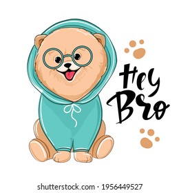 Cute summer spitz and the inscription hey bro. Vector cartoon illustration design for t-shirts. Birthday card