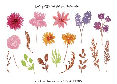 Cute Summer and Spring Flower and Leaf Watercolor
