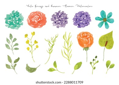 Cute Summer and Spring Flower and Leaf Watercolor