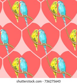 cute Sun Conure or Sun Parakeets of birds colorful parrot couple perched on branch, bird wildlife image illustrated in hand drawn