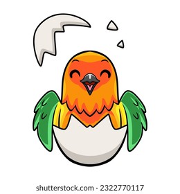 Cute sun conure parrot cartoon inside from egg