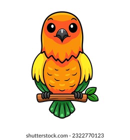 Cute sun conure parrot cartoon on tree branch