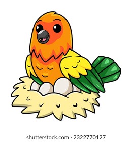 Cute sun conure parrot cartoon with eggs in the nest