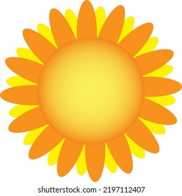 Cute sun flower vector illustration