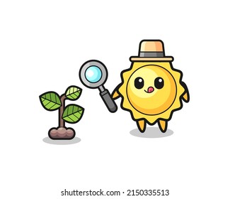 cute sun herbalist researching a plants , cute design