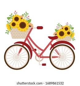 The cute sunflower in the basket on the red bicycle in flat vector style. illustation about wedding , greeting card, content,graphic,etc.