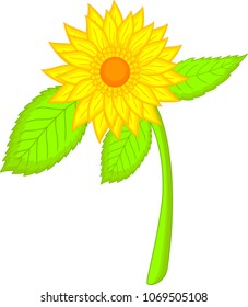cute sunflower cartoon 