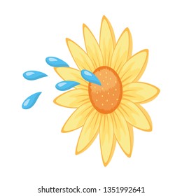 cute sunflower cartoon