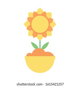 cute sunflower in ceramic pot garden vector illustration design