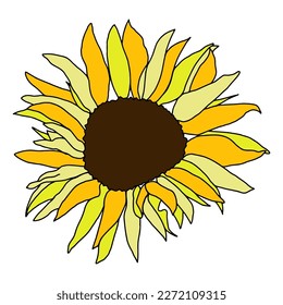 Cute sunflower decor for surfase decoration. Hand drawn floral vector elements