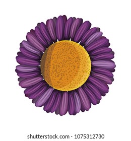 cute sunflower flower decorative icon
