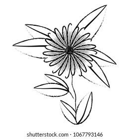 cute sunflower flower with leafs decorative