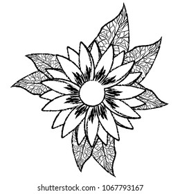 cute sunflower flower with leafs decorative