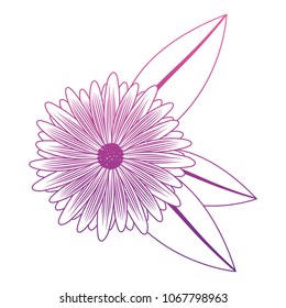cute sunflower flower with leafs decorative
