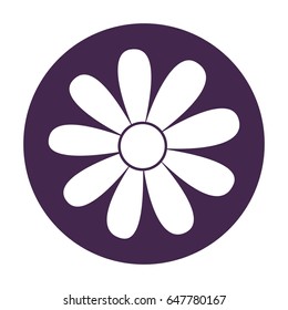 cute sunflower isolated icon