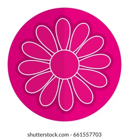 cute sunflower isolated icon
