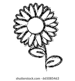 cute sunflower isolated icon