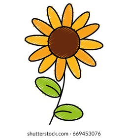 cute sunflower isolated icon