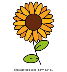 cute sunflower isolated icon